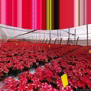 Imagen de CENTRO DE EDUCACION INFANTIL Y PRIMARIA VIRGEN DE LA PAZ