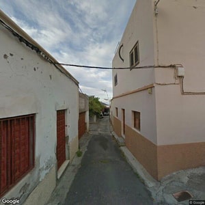 Imagen de EL BOSQUE DE LOS SUEÑOS