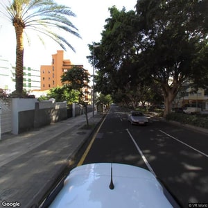 Imagen de ELEFANTITO TROMPON