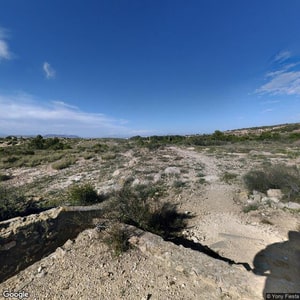 Imagen de LOS PINOS