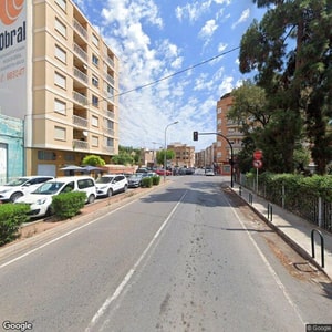 Imagen de LOS TILOS
