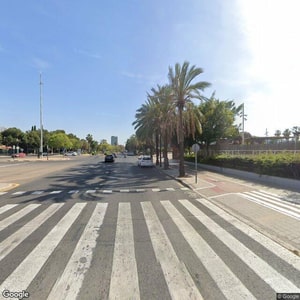 Imagen de VALENCIA MONTESSORI SCHOOL S.L.