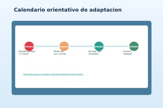 Calendario orientativo de adaptación en guardería por semanas