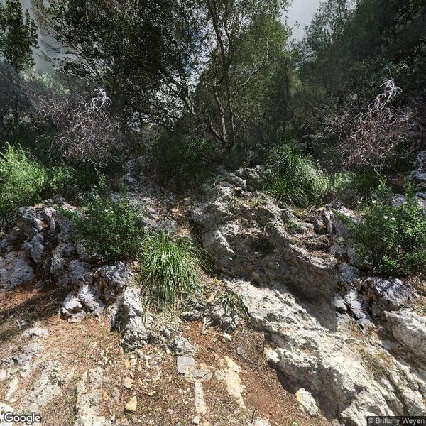 Imagen de AJUNTAMENT D´ESPORLES - S´ESCOLETA MPAL