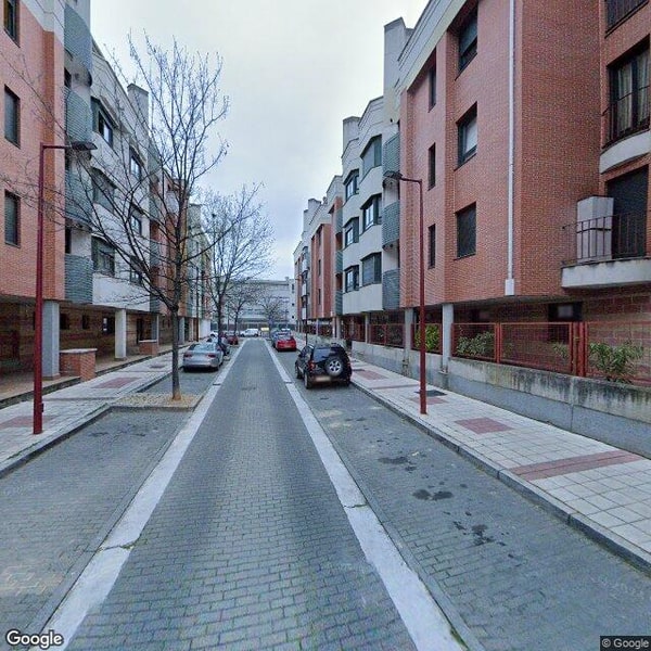 Imagen de ARBOL SABIO