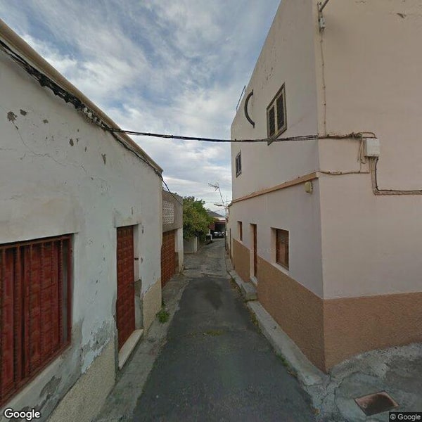 Imagen de EL BOSQUE DE LOS SUEÑOS