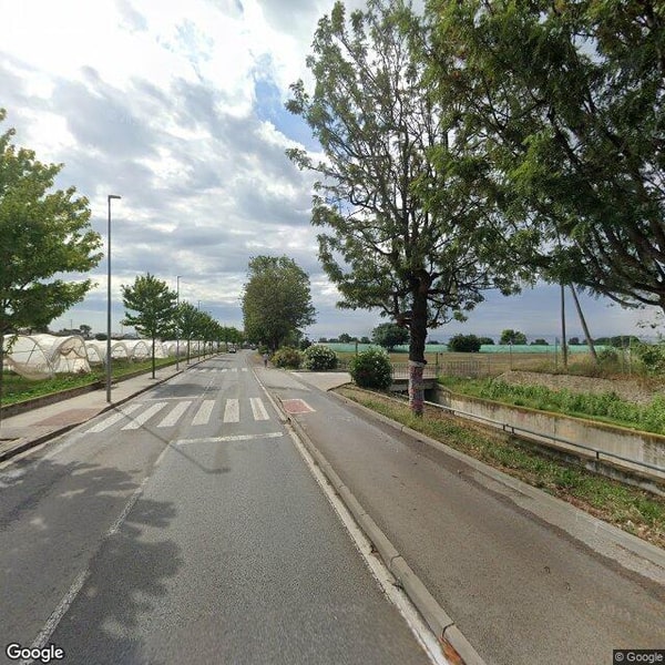 Imagen de EL PETIT PRINCEP 2000 S.L.