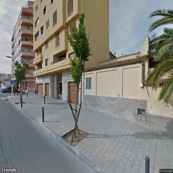 Imagen de ESCOLA MATA DE JONC