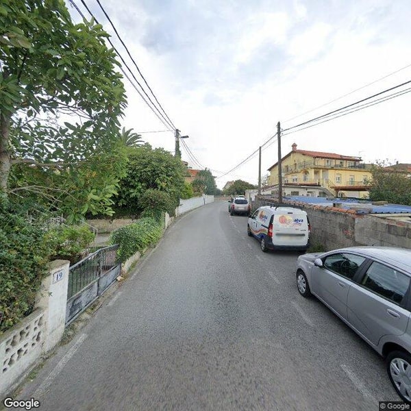 Imagen de JARDIN DE AFRICA