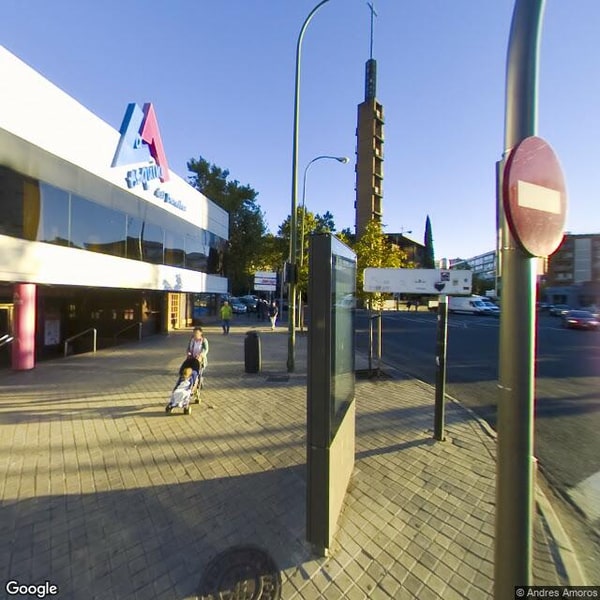 Imagen de LOS MIRASOLES