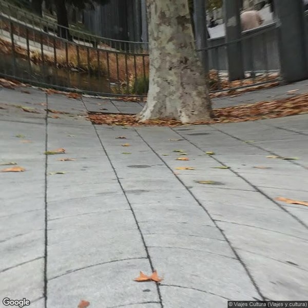 Imagen de LUDOTECA EL GUSANITO