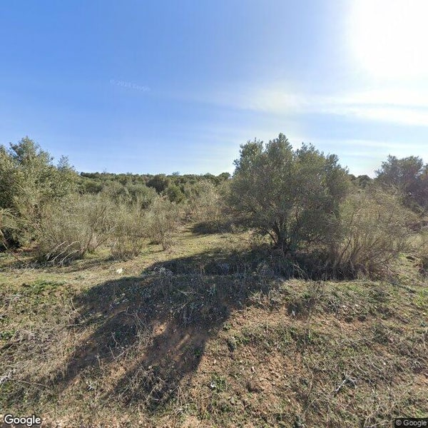 Imagen de SANTO TOMAS DE AQUINO