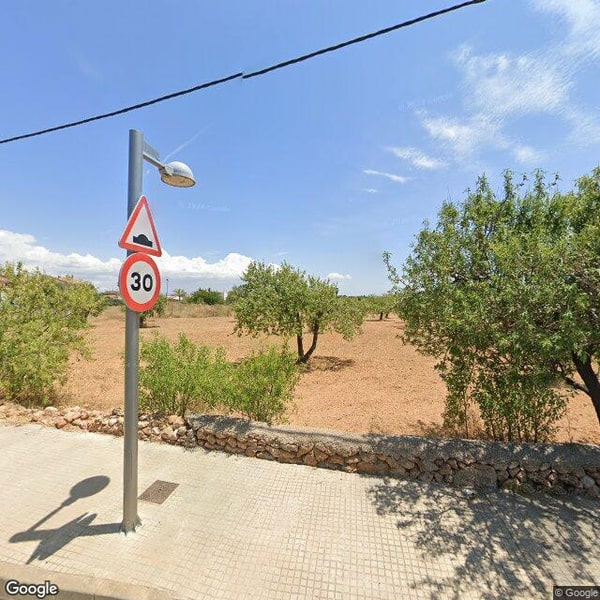 Imagen de SON SARDINA INFANTS I NATURA